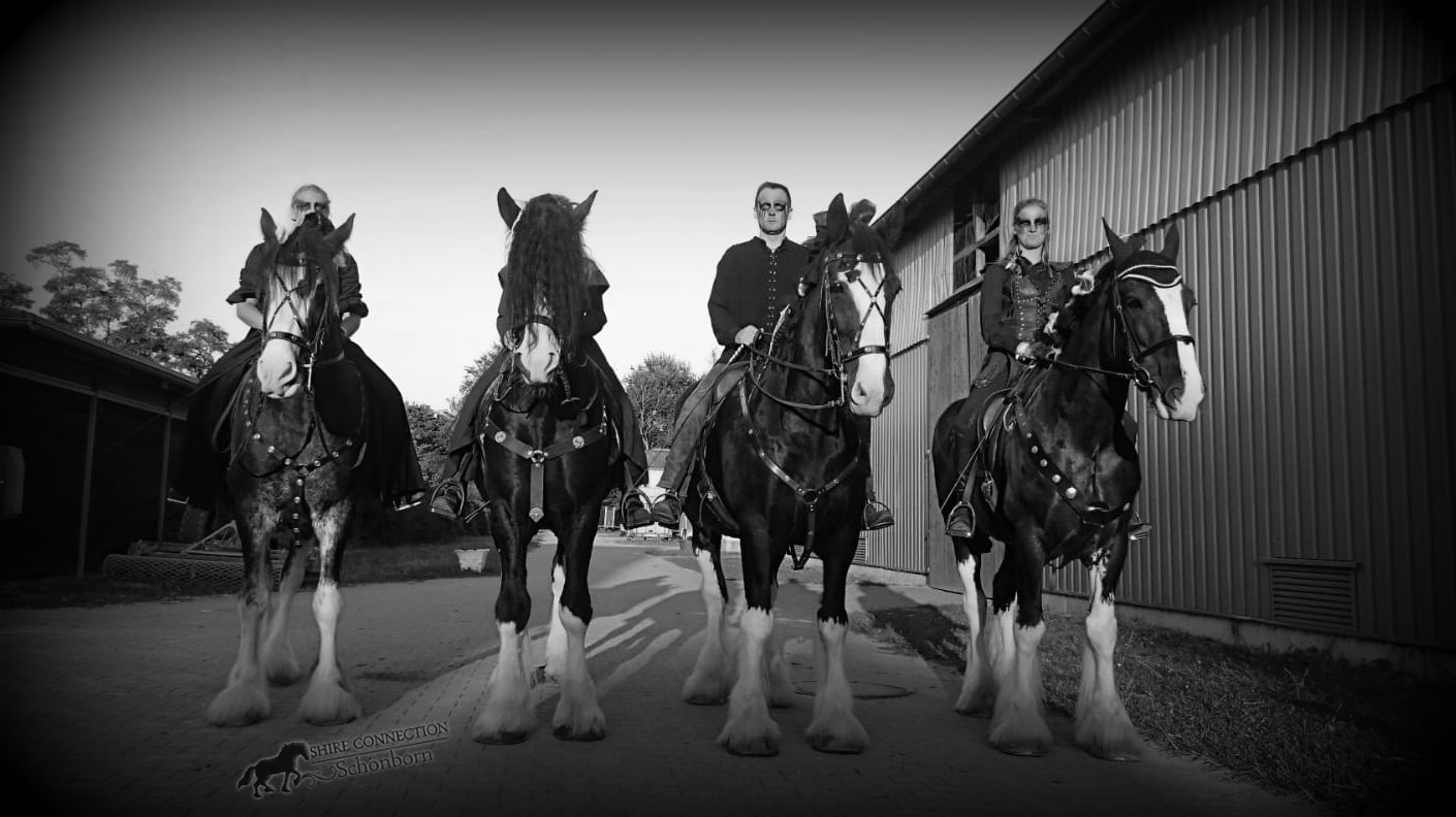 Shire Horse Bundeszuchtschau - die schwarzen Reiter im Pferdetheater "Des Königs große Pferde"